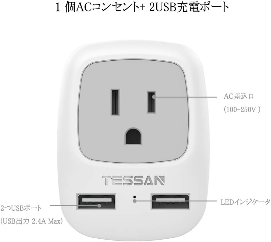 TESSAN Cタイプ 海外旅行用 変換アダプター 2USBポート付き