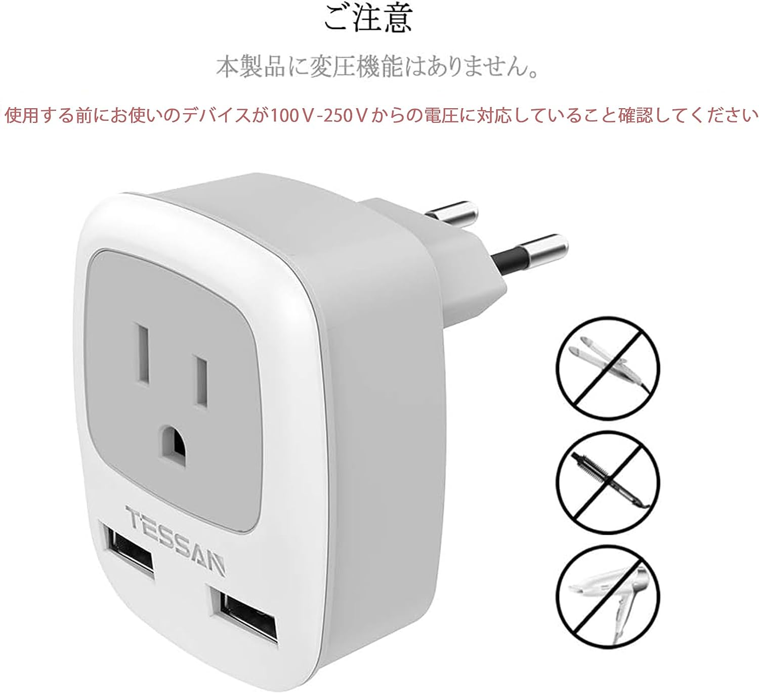 TESSAN Cタイプ 海外旅行用 変換アダプター 2USBポート付き