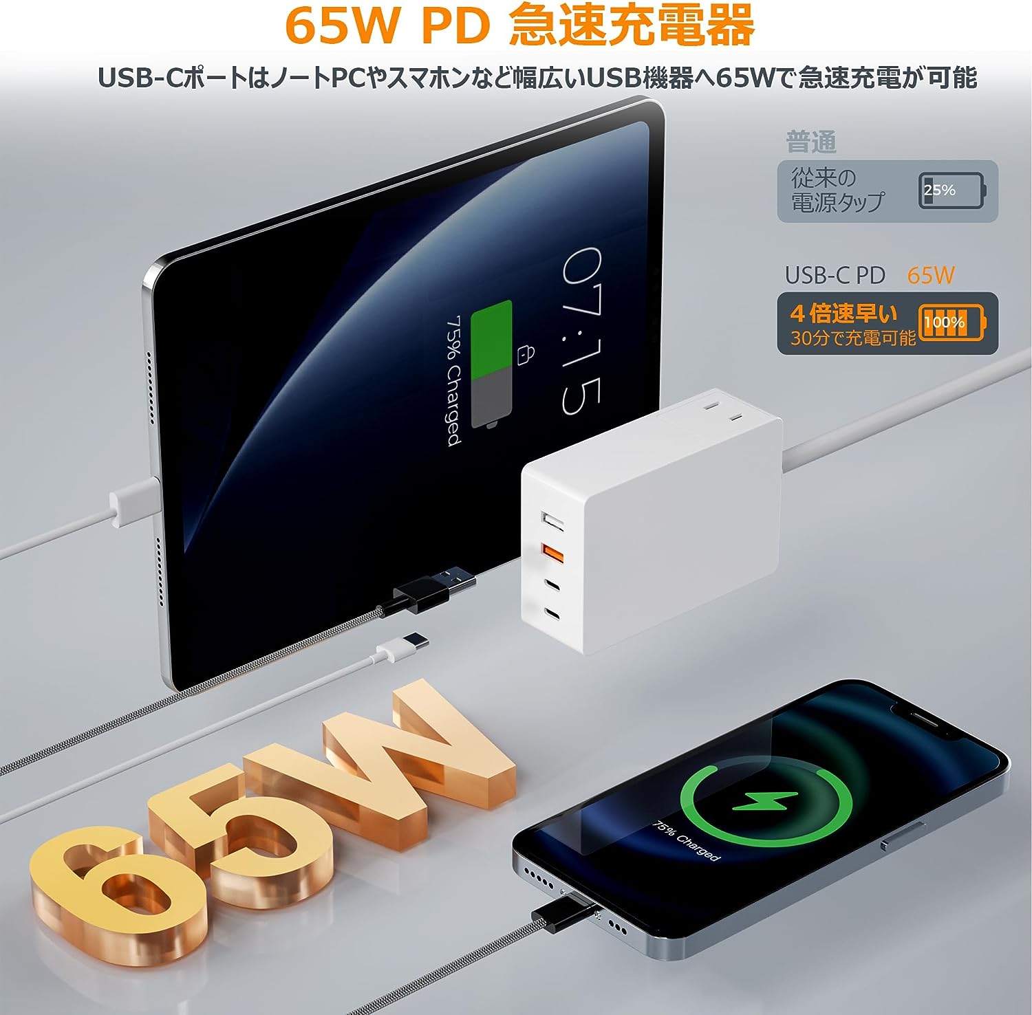 TESSAN 電源タップ PD対応 USB充電器 65W type-c 【AC差スマホ/家電/カメラ